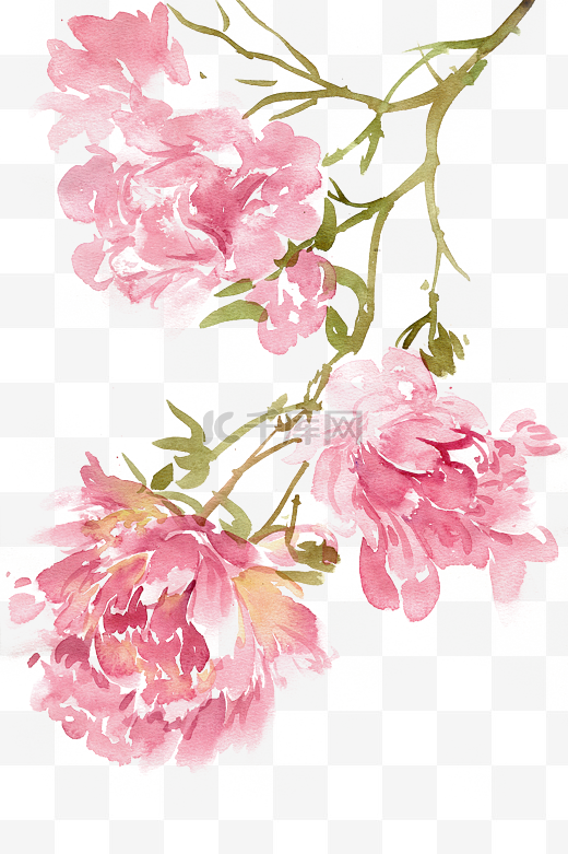 水墨粉色的牡丹花图片