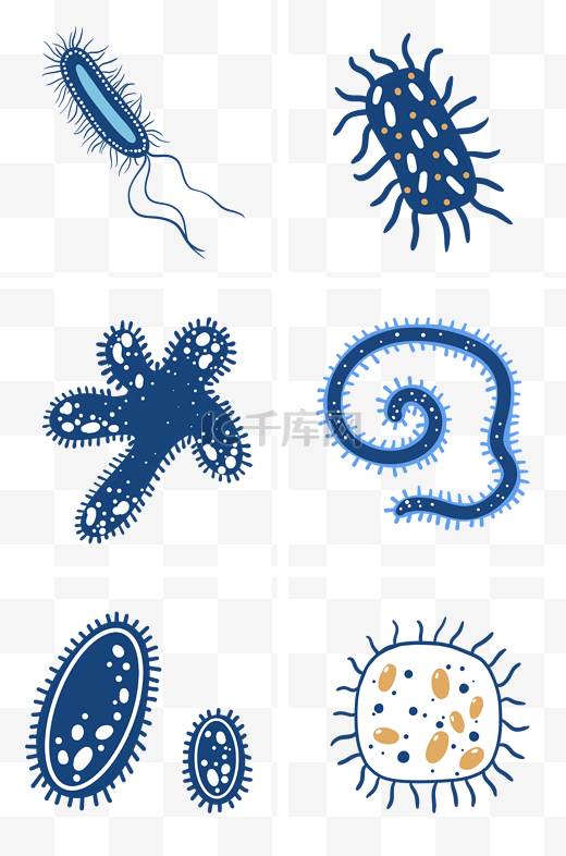 各种细胞细菌组图PNG免抠素材图片
