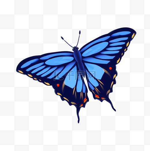 浅蓝色的蝴蝶插画图片