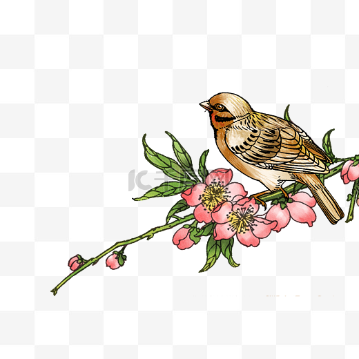 粉色桃花鸟水彩唯美清新绿叶与鸟图片