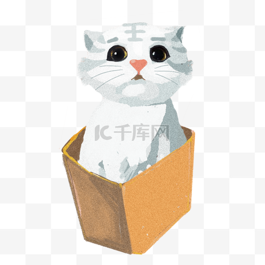 箱子里的猫图片