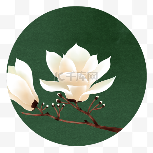 花卉复古淡雅底纹中国风花卉装饰画古风插画白玉兰图片