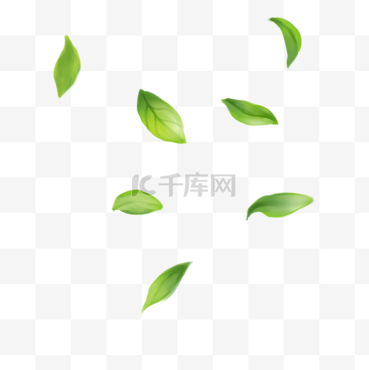 绿色茶叶图片