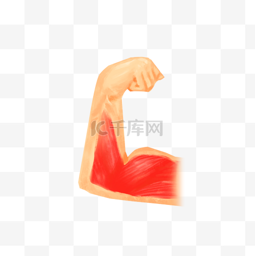 胳膊肌肉手臂图片