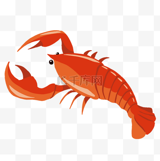 游泳的小龙虾插画图片