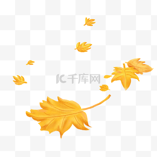 秋天秋季立秋秋分落叶树叶图片
