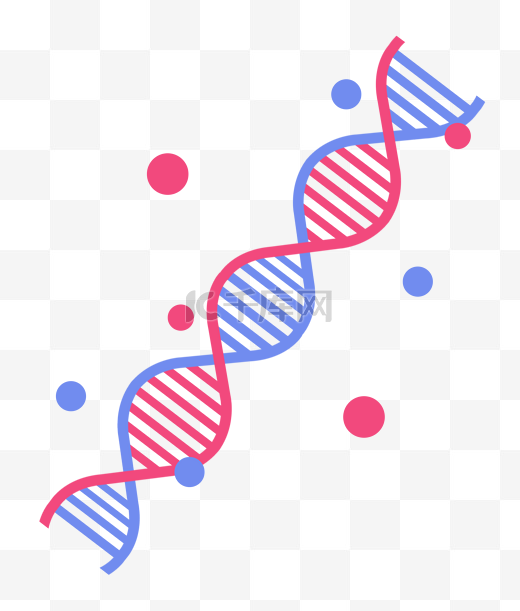 红蓝螺旋DNA图片