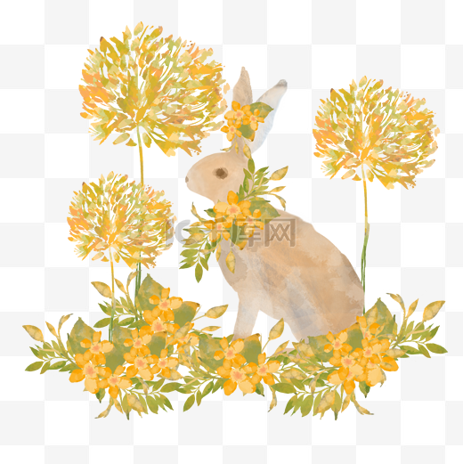 初秋花丛兔子图片