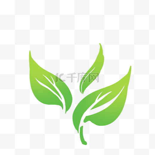 线描茶叶绿茶图片