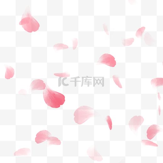 落下的粉色花瓣图片