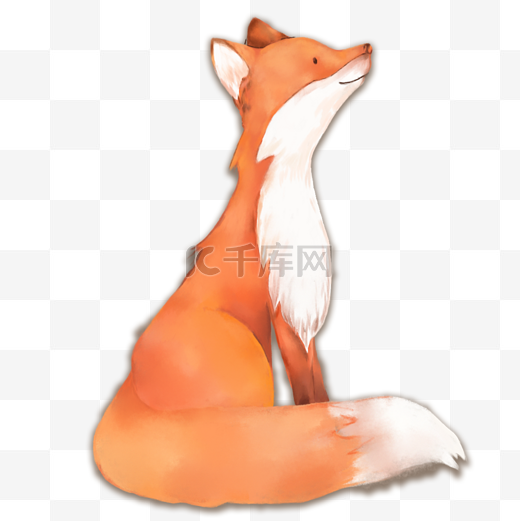 一只坐着的狐狸图片