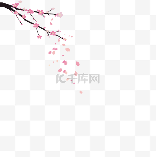 樱花树下花瓣飞png图片图片
