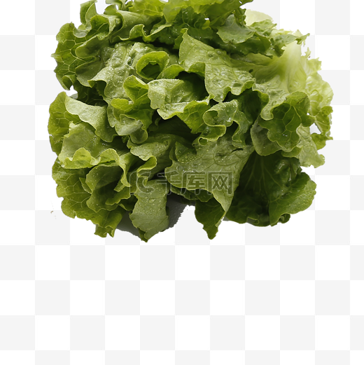 绿色的蔬菜免抠图图片