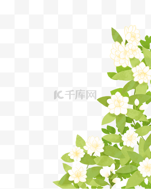 茉莉花手绘图片