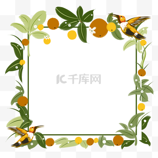 正方形橘子树花束蜂鸟贺卡边框图片