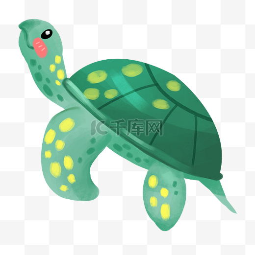 海龟海洋生物图片