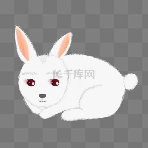 白兔兔子图片
