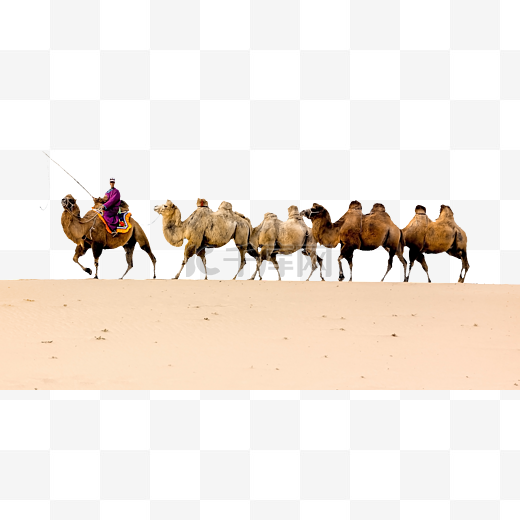 骆驼沙漠和人物图片