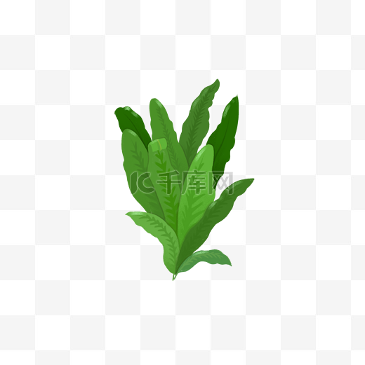 手绘热带植物绿植叶子矢量图PNG图图片
