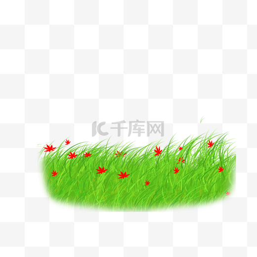 草地草坪绿草图片