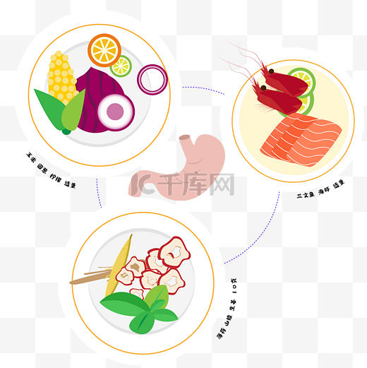 中医食疗食补营养均衡养胃图片