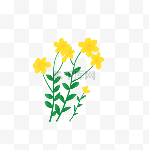 茼蒿黄色花朵植物海报背景装饰素材图片
