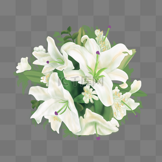 花卉植物百合花节情人节花束图片