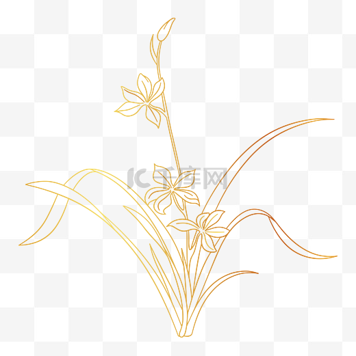 烫金兰花花卉素材图片