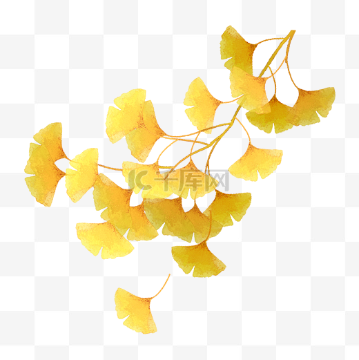 秋天银杏树枝落叶立秋图片