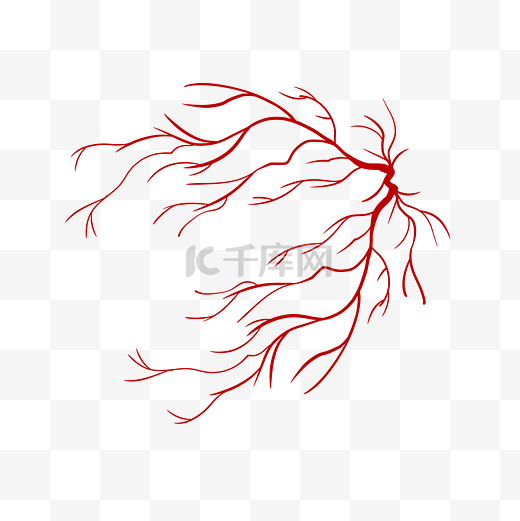 动脉静脉血管图片
