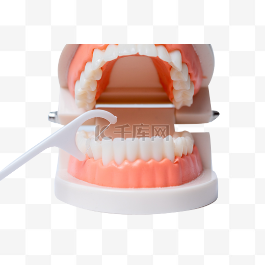 医疗室内牙线清洁牙齿模型牙科牙医口腔卫生图片