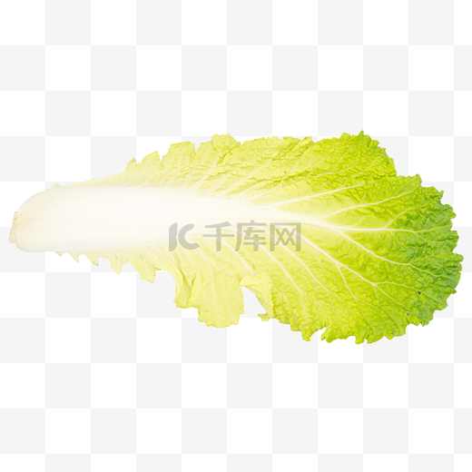 绿色蔬菜白菜叶图片