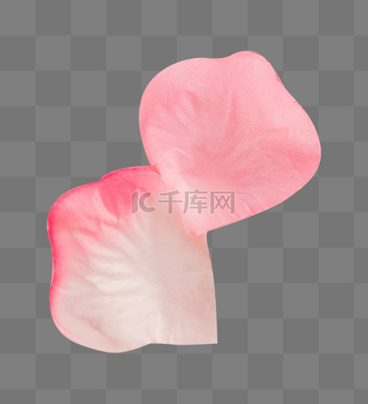 粉色玫瑰花瓣图片