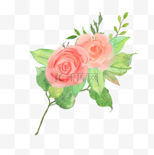 水彩玫瑰花朵素材图片
