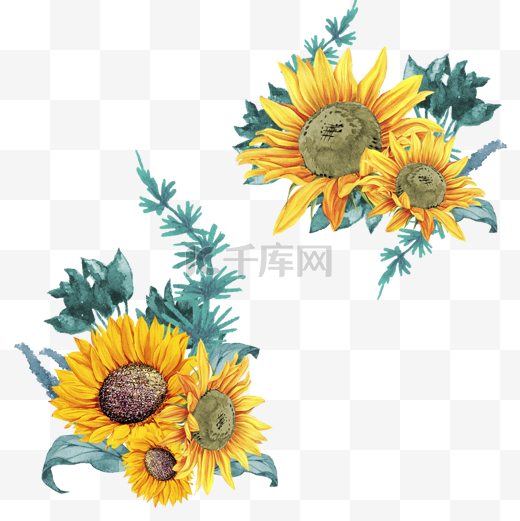 黄色向日葵边框手绘水彩插画元素夏天图片