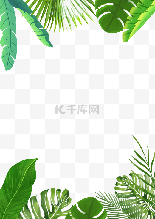 热带绿叶边框图片