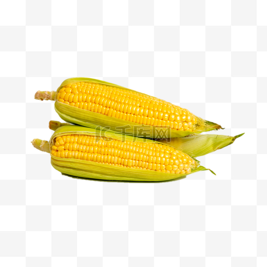 农产品室内玉米图片
