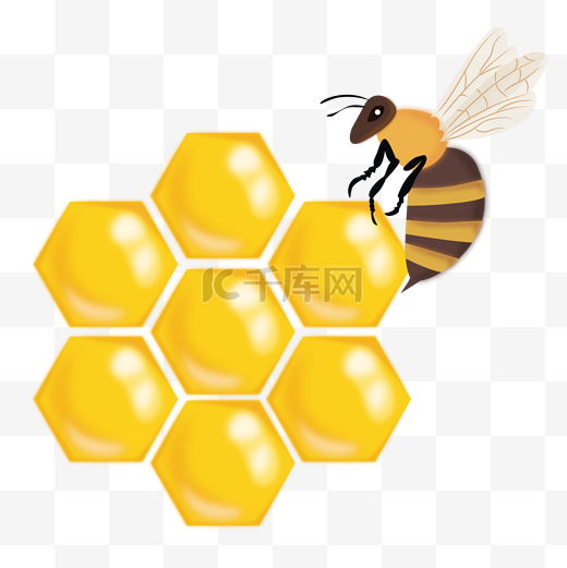 蜜蜂蜂巢昆虫矢量图图片