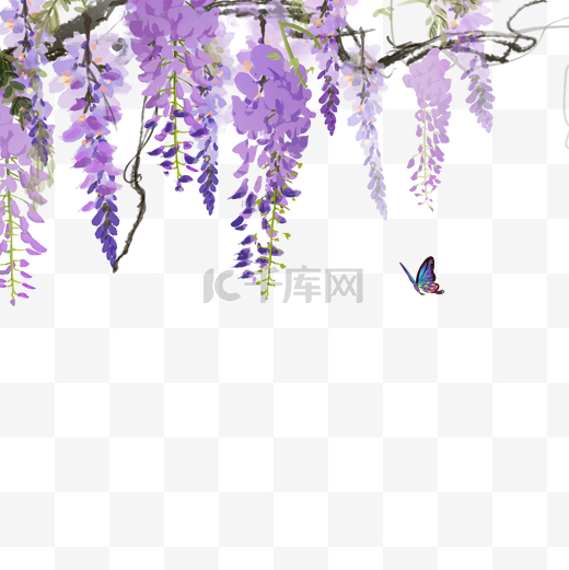紫藤花植物冬天紫色图片