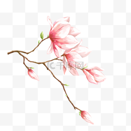春天春季春日唯美梦幻粉色花朵图片