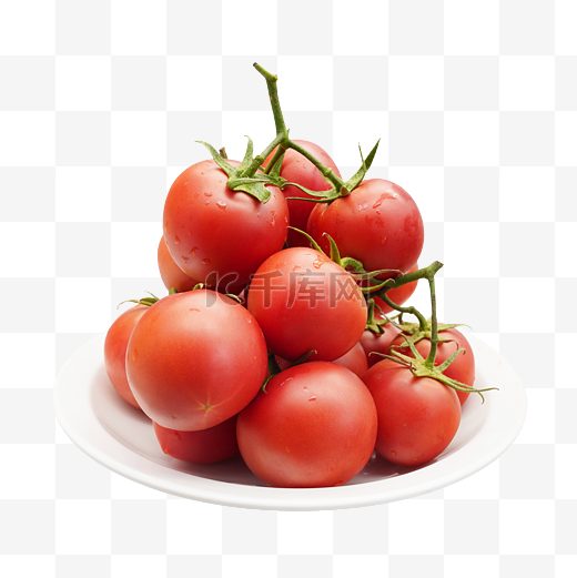 时令蔬果西红柿图片