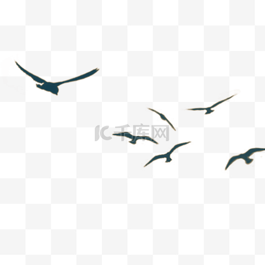 一群大雁在天空飞翔图片