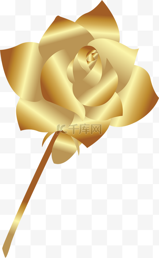 金箔玫瑰花朵礼物节日图片
