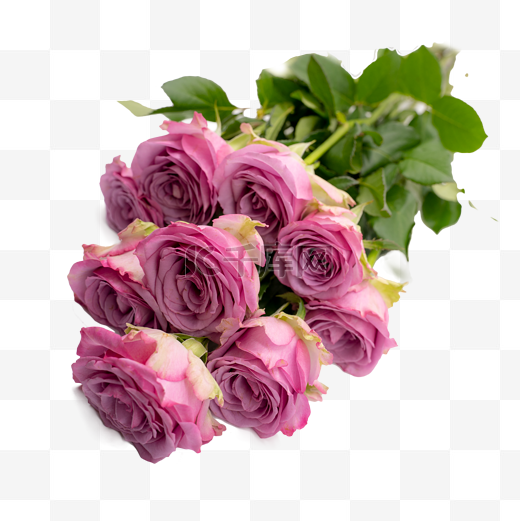 一把紫色玫瑰花一束花图片