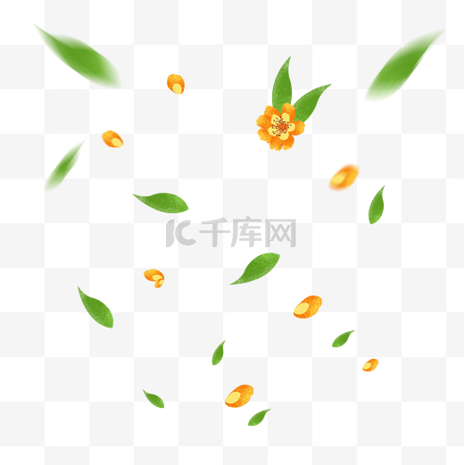 飘零的花瓣绿叶图片