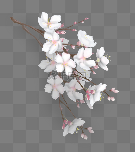 一束漂亮的樱花花束图片