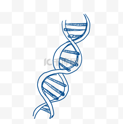 手绘蓝色线描生物学基因插画元素图片