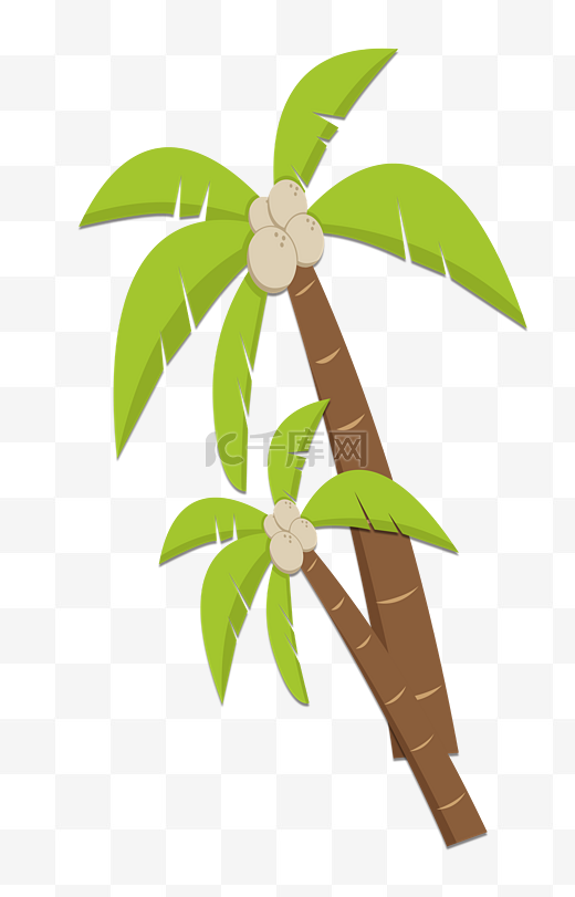 椰树牌海南椰子树绿色植物图片