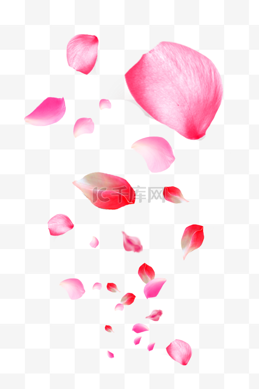 粉色创意花瓣图片