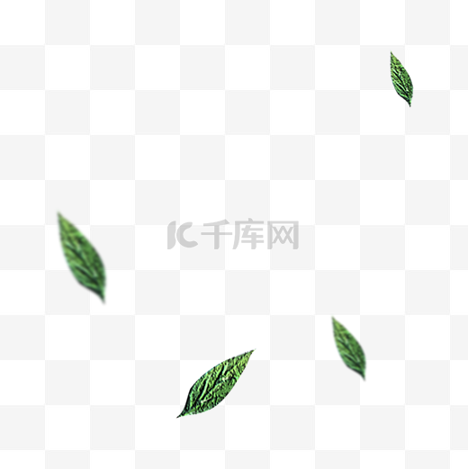 四片绿色叶子图片